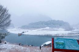  [기원상컬럼] 문화는 지역을 살린다 — 영화 한 편이 만든 영월의 변화