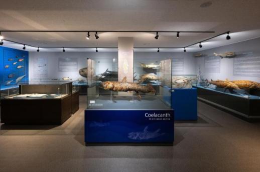 국립부경대, 개교 80주년 맞아 학술·첨단산업 융합 체계 구축