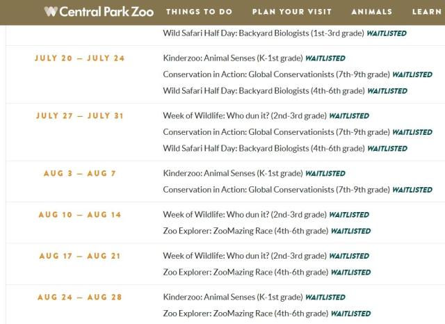 센트럴파크동물원의 여름 캠프 리스트 전부 마감 상태다 사진센트럴파크동물원 홈페이지