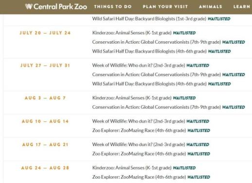 2000만원짜리 신고식…여름방학 앞두고 부담 커지는 뉴욕 부모들