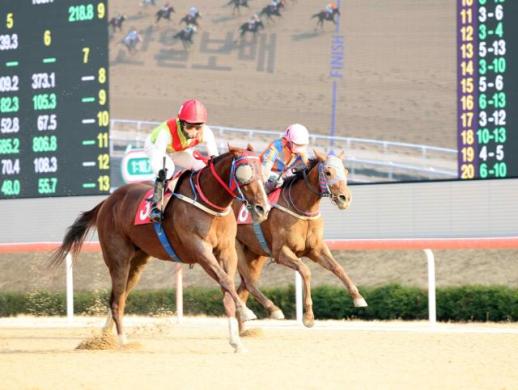 렛츠런파크 부산경남, 3월 경마 시즌 개막...대상경주 시리즈 본격 돌입