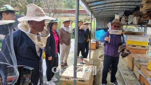 광주에서 꿀벌 키우기 체험자 200명 모집