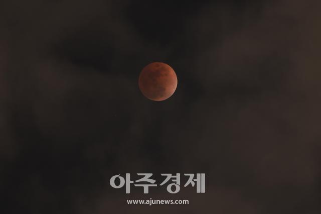 사진유대길 기자 dbeorlf123ajunewscom