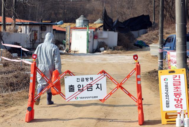 지난달 20일 아프리카돼지열병ASF이 발생한 경기도 평택시 한 돼지농장에서 관계자들이 출입을 통제하고 있다