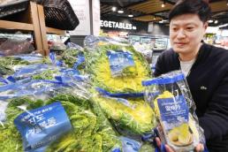 [조재형의 유통맵] 두쫀쿠 가고 봄동 왔다…2030 홀린 초록빛 봄기운