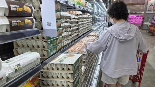 떨어지지 않는 계란값…농식품부, 신선란 471만개 추가 수입