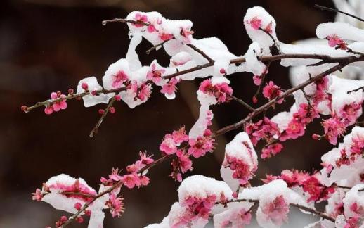 권성동 통일교 정치자금 1억 항소심 내달 23일 선고