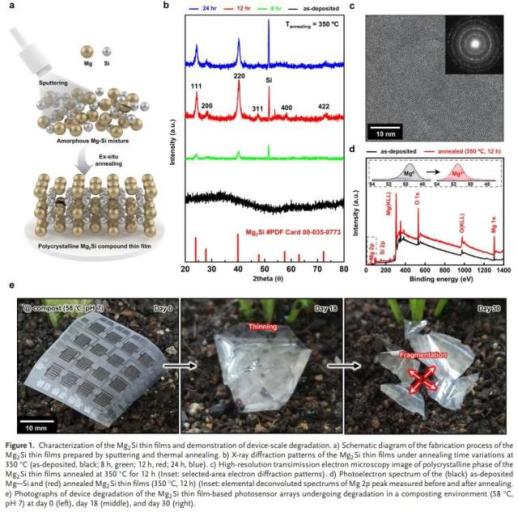 국립부경대, 원천기술 기반 글로벌 연구 중심 체질 개선 가속