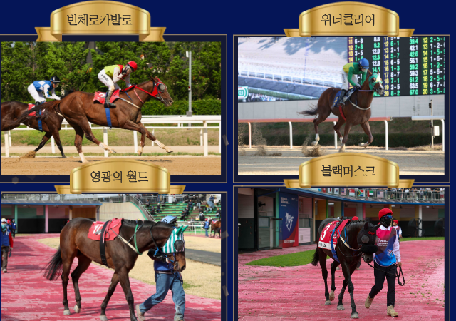 사진렛츠런파크 부산경남