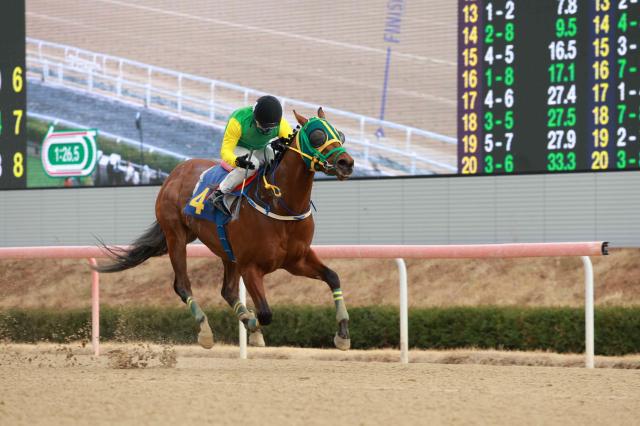 우승마 4번 클러치위너와 서승운 기수의 결승선 통과 장면사진렛츠런파크 부산경남
