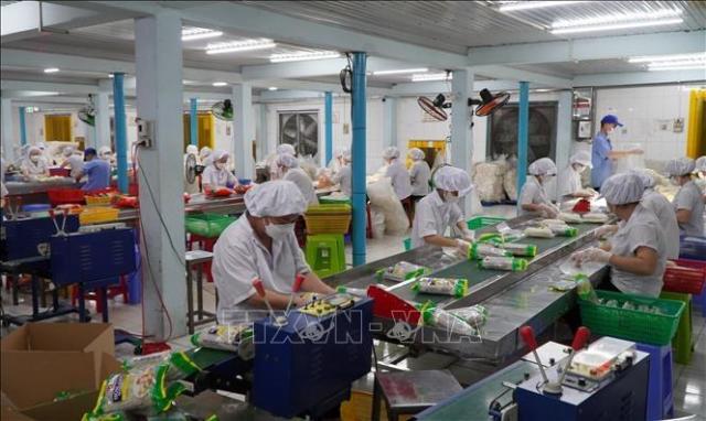 동탑 사덱에 있는 비치 식품 주식회사에서 쌀 가공 제품을 포장하고 있는 모습 사진베트남 통신사