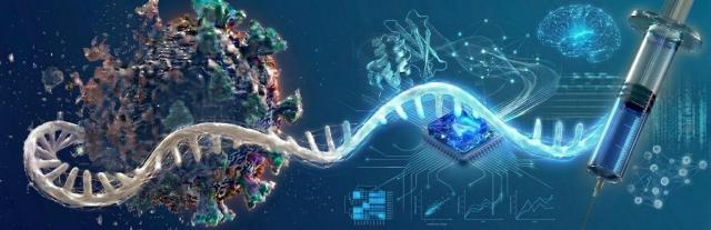 Joint research team develops mRNA platform effective for aging and obesity