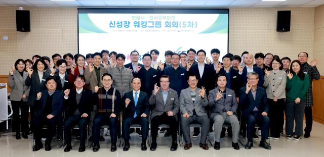 신성장 워킹그룹사진보령시