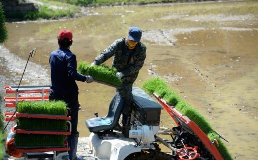 화천군, 고령 농업인 위한 영농대행 사업 본격 추진