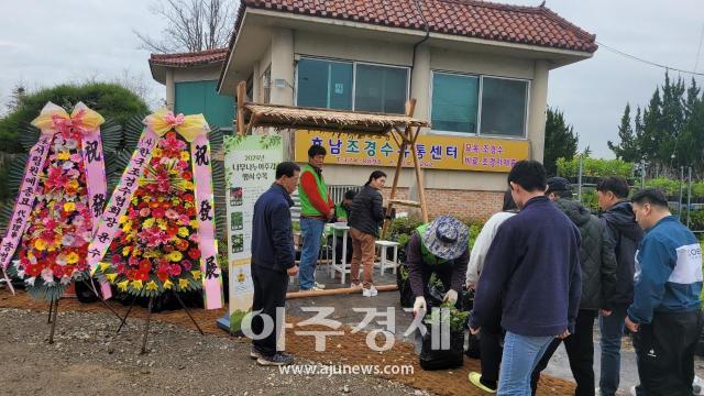 광주시가 시민 2000명에게 나무를 무료로 나눠준다 사진은 나무나눠주기 행사 모습 사진광주시