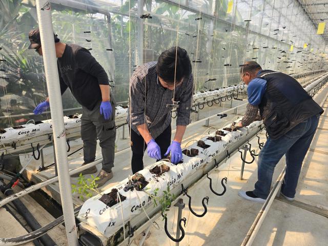 강원 인제군의 신규농업인 기초영농교육사진인제군