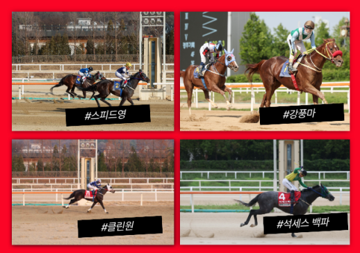 봄바람 탄 한국경마 시리즈 본격화...15일 헤럴드경제배 격돌