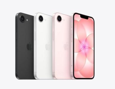 삼성D, 아이폰 공급망 '싹쓸이'···보급형부터 폴더블까지 저력 과시