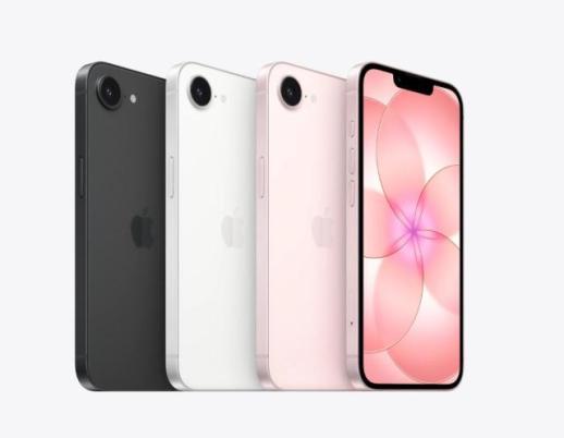 삼성D, 아이폰 공급망 싹쓸이···보급형부터 폴더블까지 저력 과시