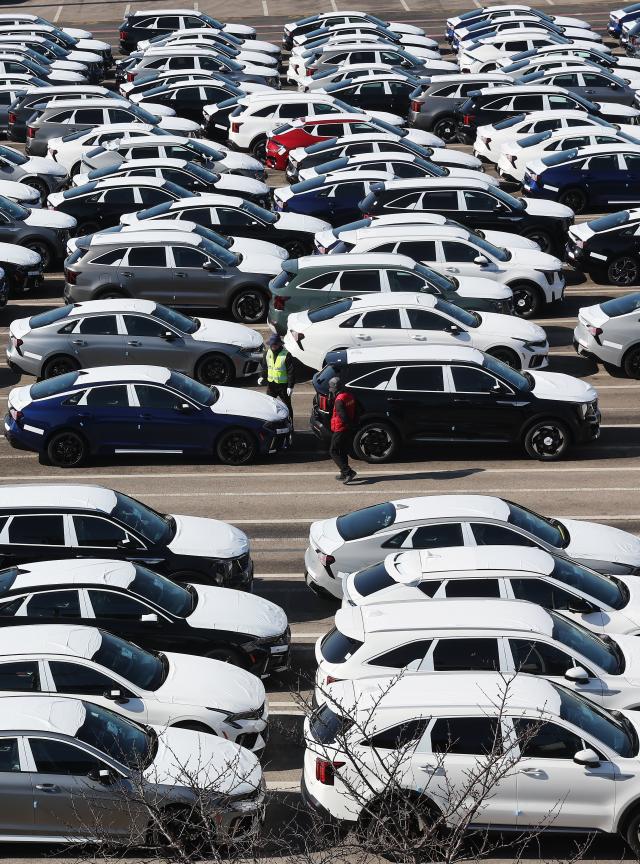 수출 대기 중인 자동차
   