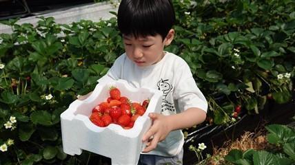 부여군 서울농장, 도시민 농촌체험 거점으로 생활인구 유입