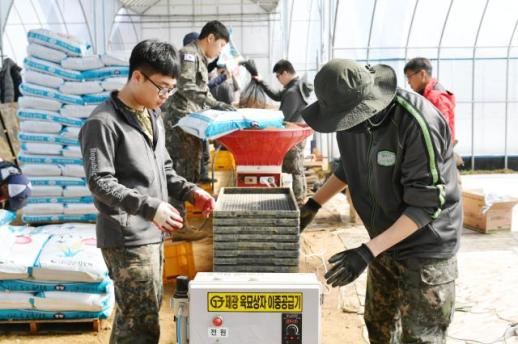 화천군, 장병 소비는 지역경제로…농가 일손은 장병이 돕는다