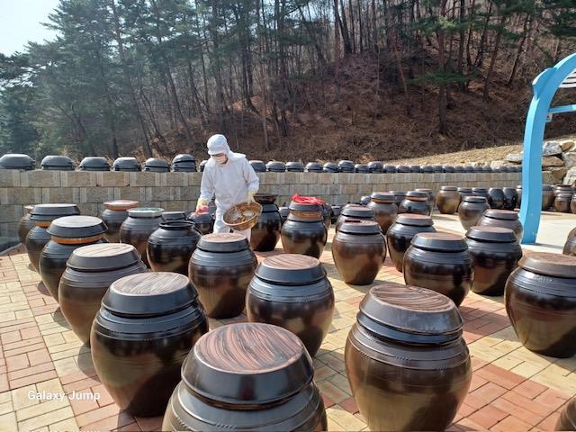 동해시 분토마을 사진동해시