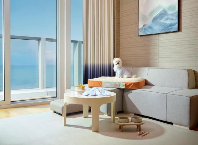 시몬스 비건 매트리스 ‘N32 쪼꼬미 사진시몬스