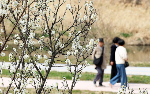 완연한 봄 날씨를 보인 16일 오후 광주 서구 광천동 광주천변에서 시민들이 산책하고 있다 사진연합뉴스