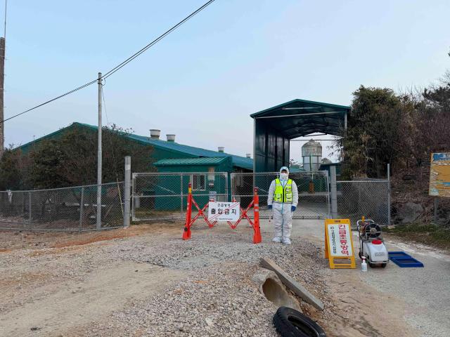 전라남도는 함평군 신광면 소재 양돈농장에서 아프리카돼지열병ASF이 발생함에 따라 즉시 초동방역 조치를 실시하고 방역관리 강화에 나섰다사진전남도