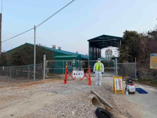 함평 양돈농장서 아프리카돼지열병 발생…방역관리 강화