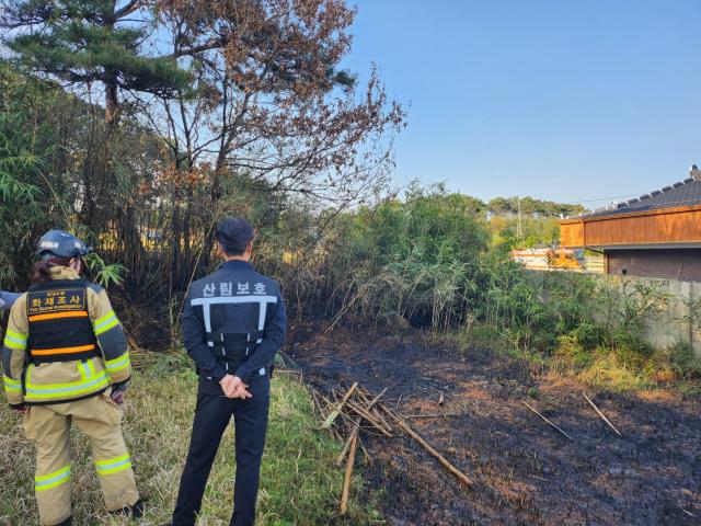 전라남도가 봄철 건조한 날씨와 강풍으로 산불 발생 위험이 커짐에 따라 14일부터 4월 19일까지 37일간 ‘봄철 대형산불 특별대책기간’을 운영한다사진전남도