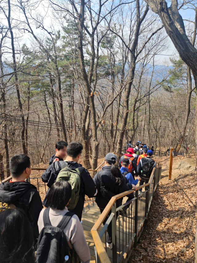 토요정기산행 프로그램 참가자들이 함께 산을 내려가고 있다 사진법무법인유 율촌
