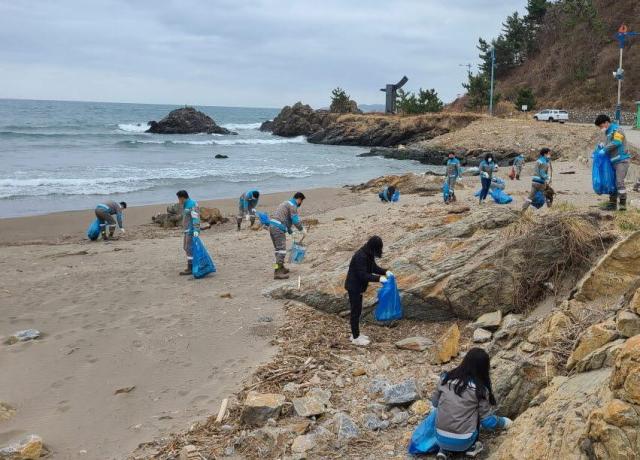 물의 날 하천 가꾸기 사진삼척시