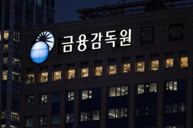 레버리지 ETF 투자 급증…금감원 "고위험 상품, 각별한 주의 필요"