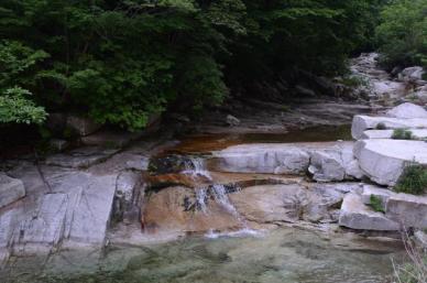 화천군, 산간계곡 불법시설 '강력 단속'…미이행 시 행정대집행까지
