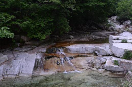 화천군, 산간계곡 불법시설 강력 단속…미이행 시 행정대집행까지