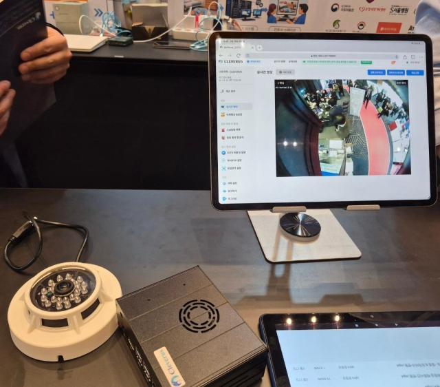 사진박보람 기자