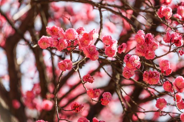 참고 이미지 사진아주경제DB