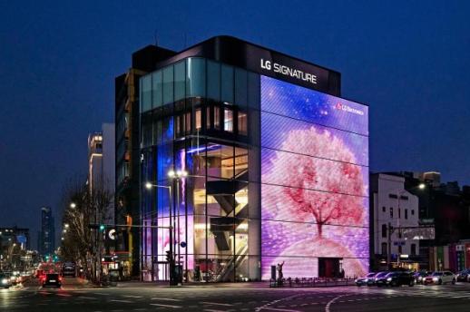 LG전자 플래그십 D5가 강남 한복판에…봄철 맞아 벚꽃 미디어 파사드 선보인다
