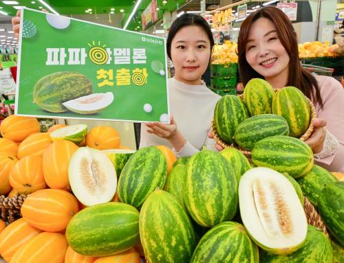 22일 서울 서초구 농협 하나로마트 양재점에서 모델들이 처음 출하된 국내산 파파야 멜론을 선보이고 있다 사진농협유통
