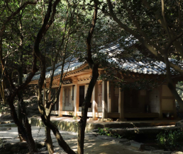 충북 영동 양계장서 화재…대응 1단계