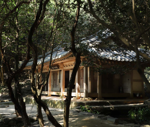 제3회 강진 백련사 동백축제 27~29일 사흘간