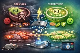 Scientists turn toxic gas into medical tool using electric signals
