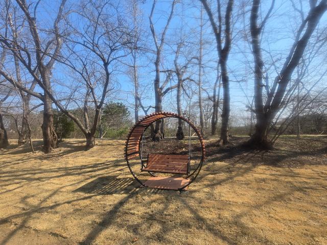 경포 달빛품은 호수정원 사진강릉시