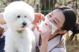 Korea joins Puppy Day with adoption push 
