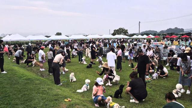 시흥시 농업기술센터 잔디광장에서 반려동물 운동회 ‘우리동네 개체능’ 행사가 진행 되고 있다 사진시흥시