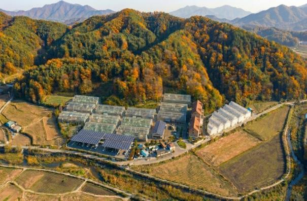 영양군 임산물 스마트팜 실증단지 조감도 사진영양군