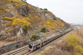 Spring is finally here, heralded by first blossoms