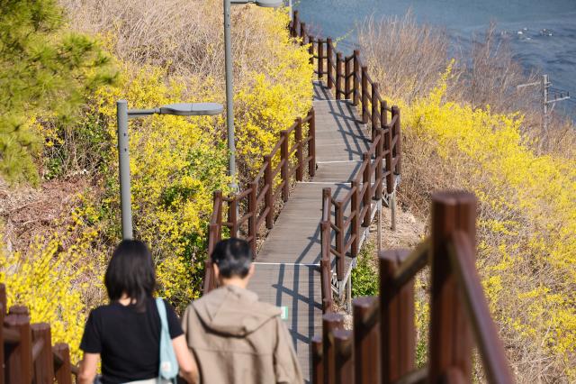 Citizens take a walk at Eungbongsan Mountain in Seongbuk-gu Seoul March 24 2026 AJP Han Jun-gu